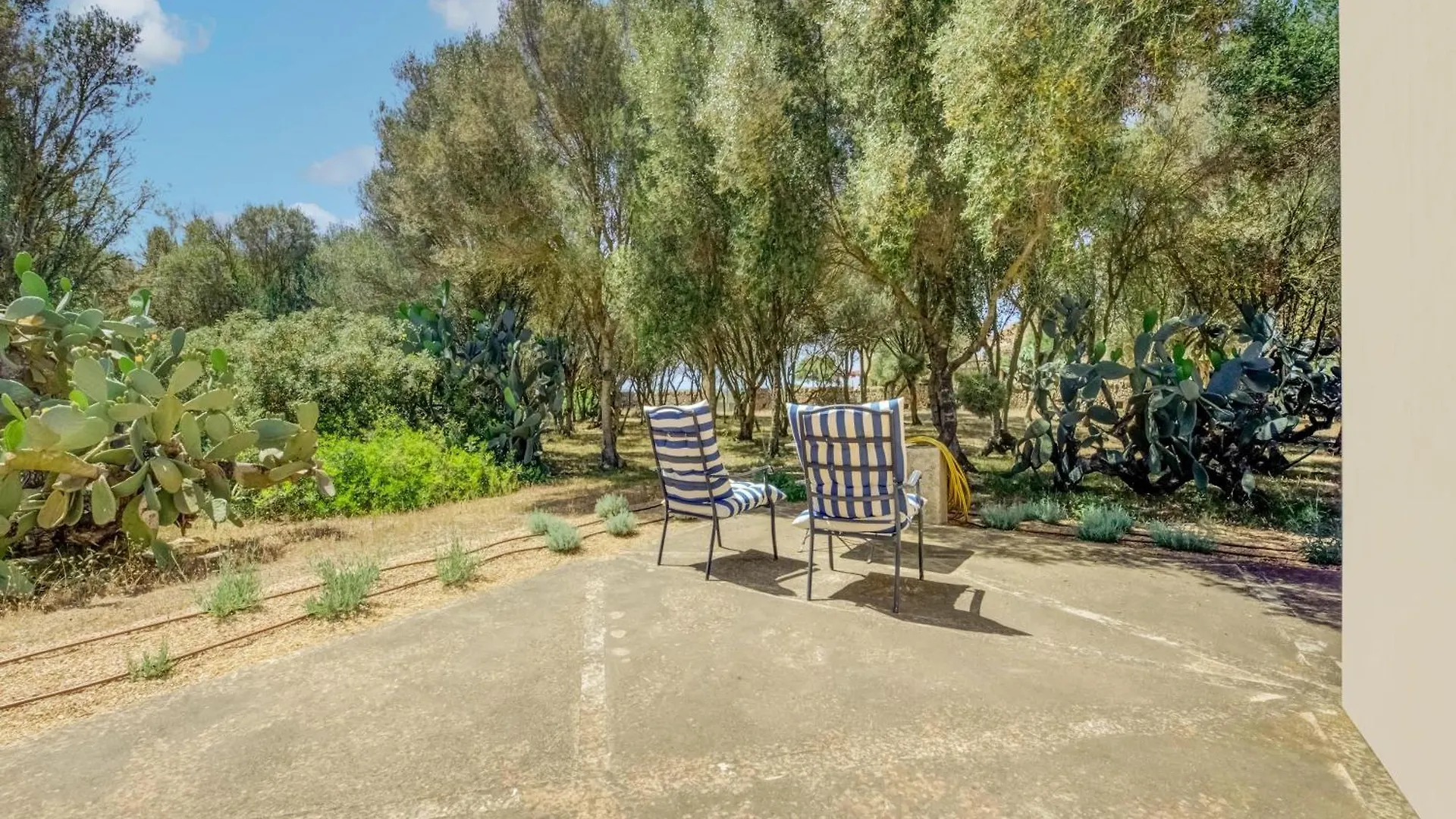 Possessio Sa Barrala Gallinero Campos  Holiday home Campos (Mallorca)